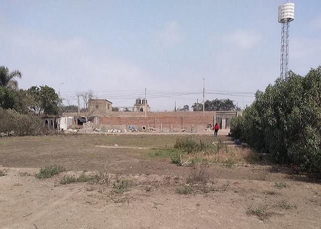 Terreno en Venta ubicado en Pachacamac