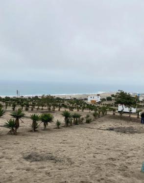 Terreno de ocasión ubicado en Punta Negra