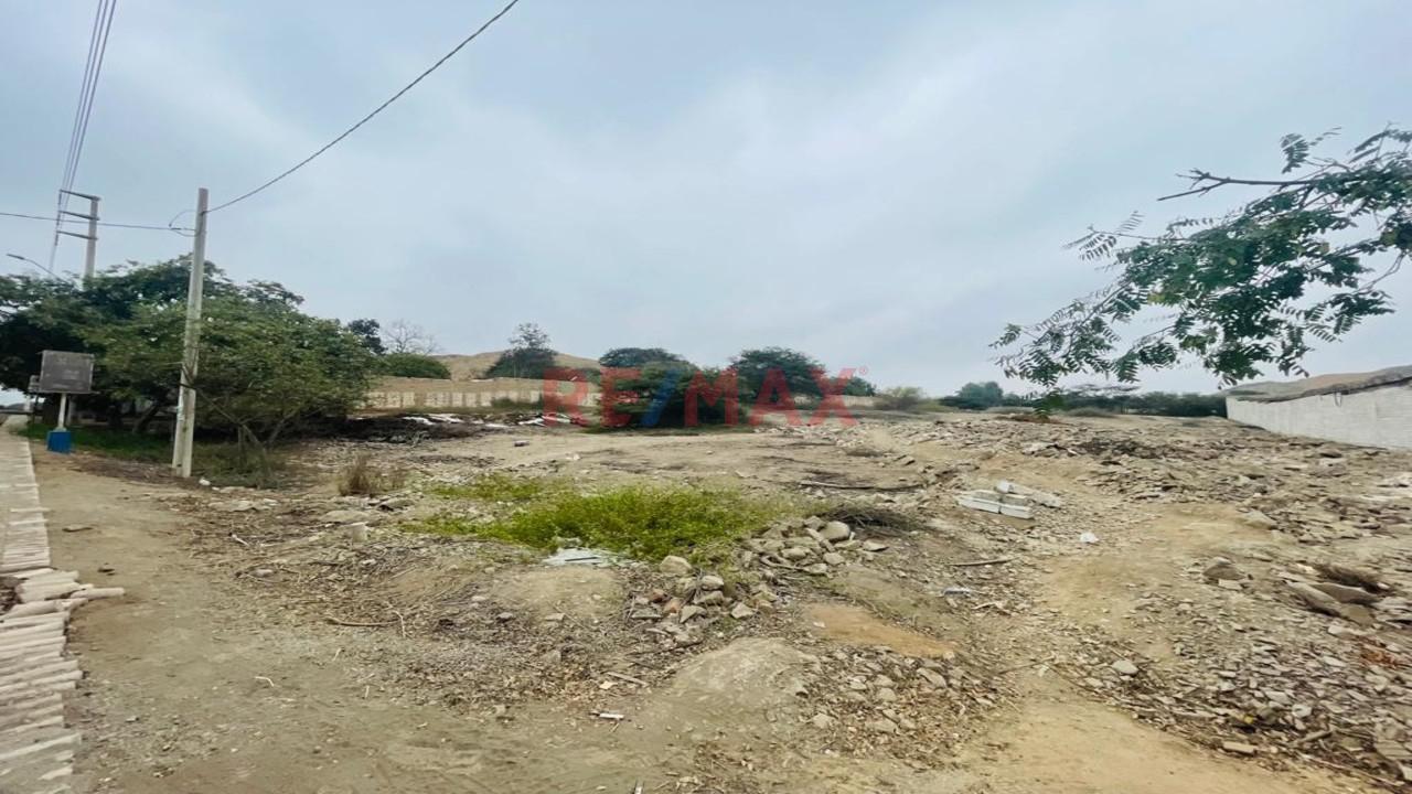 Terreno en Venta ubicado en Pachacamac