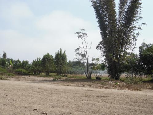 Terreno barato en Venta en Sunampe