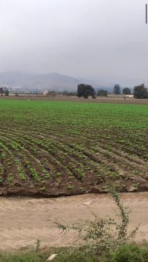 Terreno en Venta ubicado en Huaral a $3,400,000