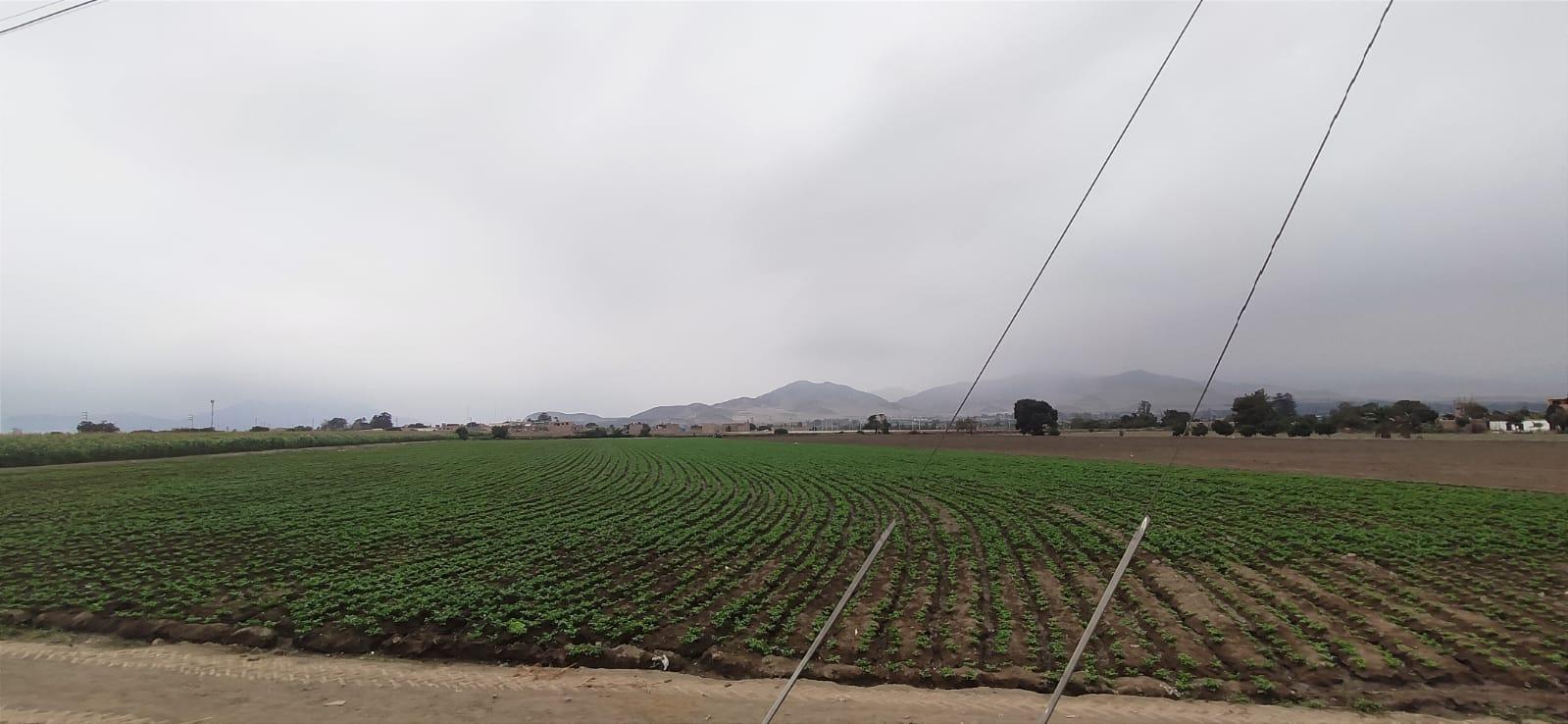 Terreno en Venta ubicado en Huaral Terreno en Venta ubicado en Huaral