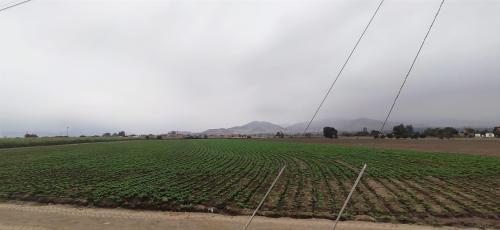 Terreno en Venta ubicado en Huaral