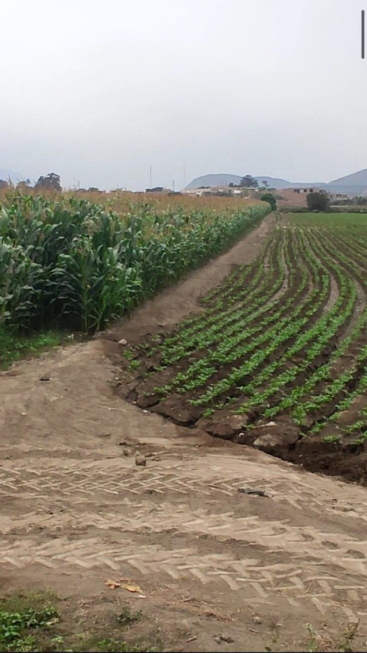 Terreno en Venta ubicado en Fq6w+f9 Huaral Terreno en Venta ubicado en Fq6w+f9 Huaral