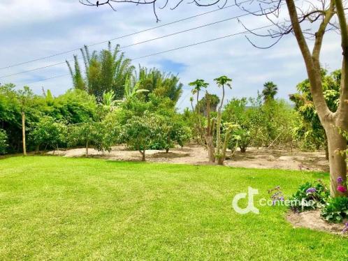 Casa de Campo en Venta ubicado en Carretera Calango Km2.5