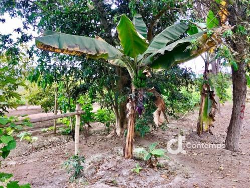 Casa de Campo de ocasión ubicado en Mala