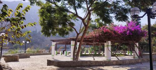 Amplio Terreno Agrícola ubicado en Lunahuana