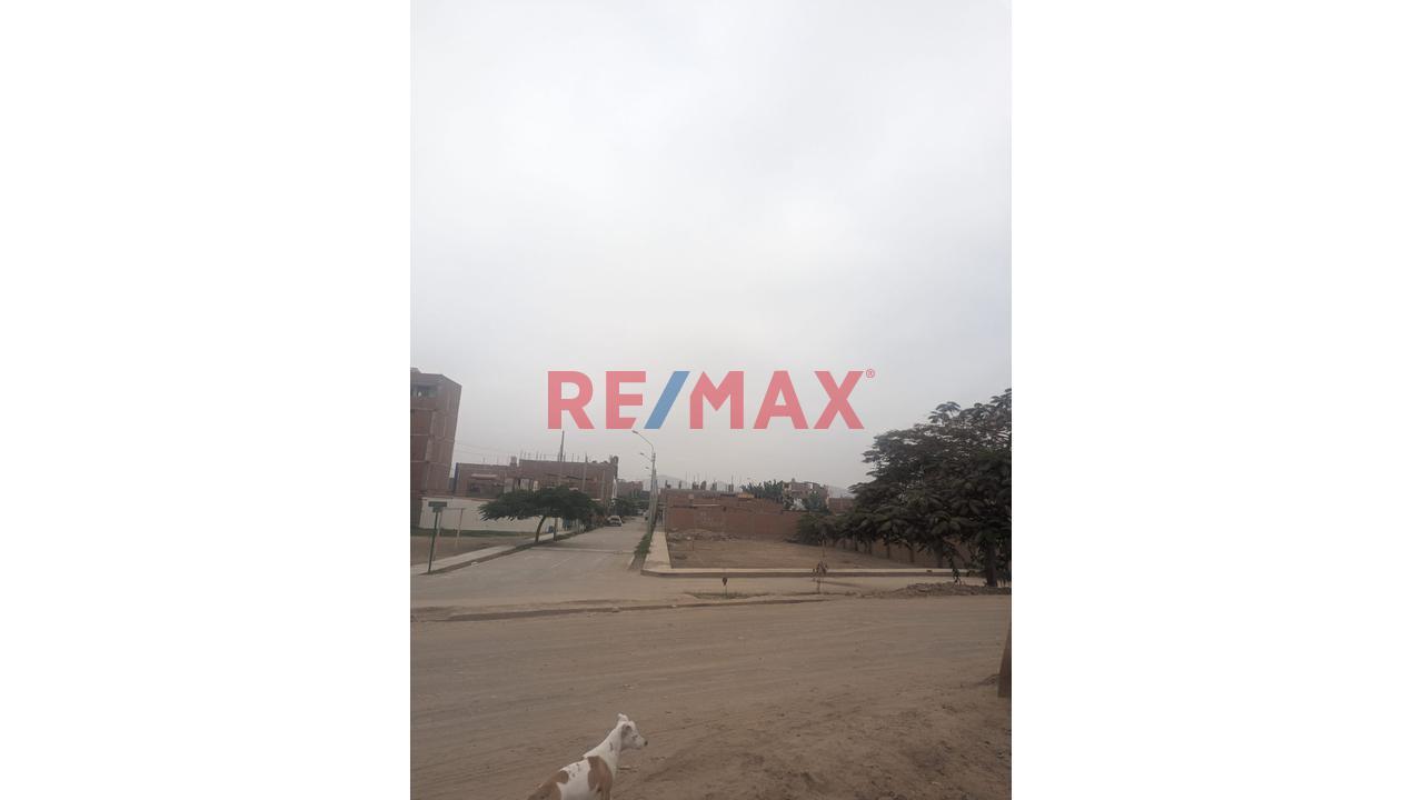 Terreno en Venta ubicado en Carabayllo