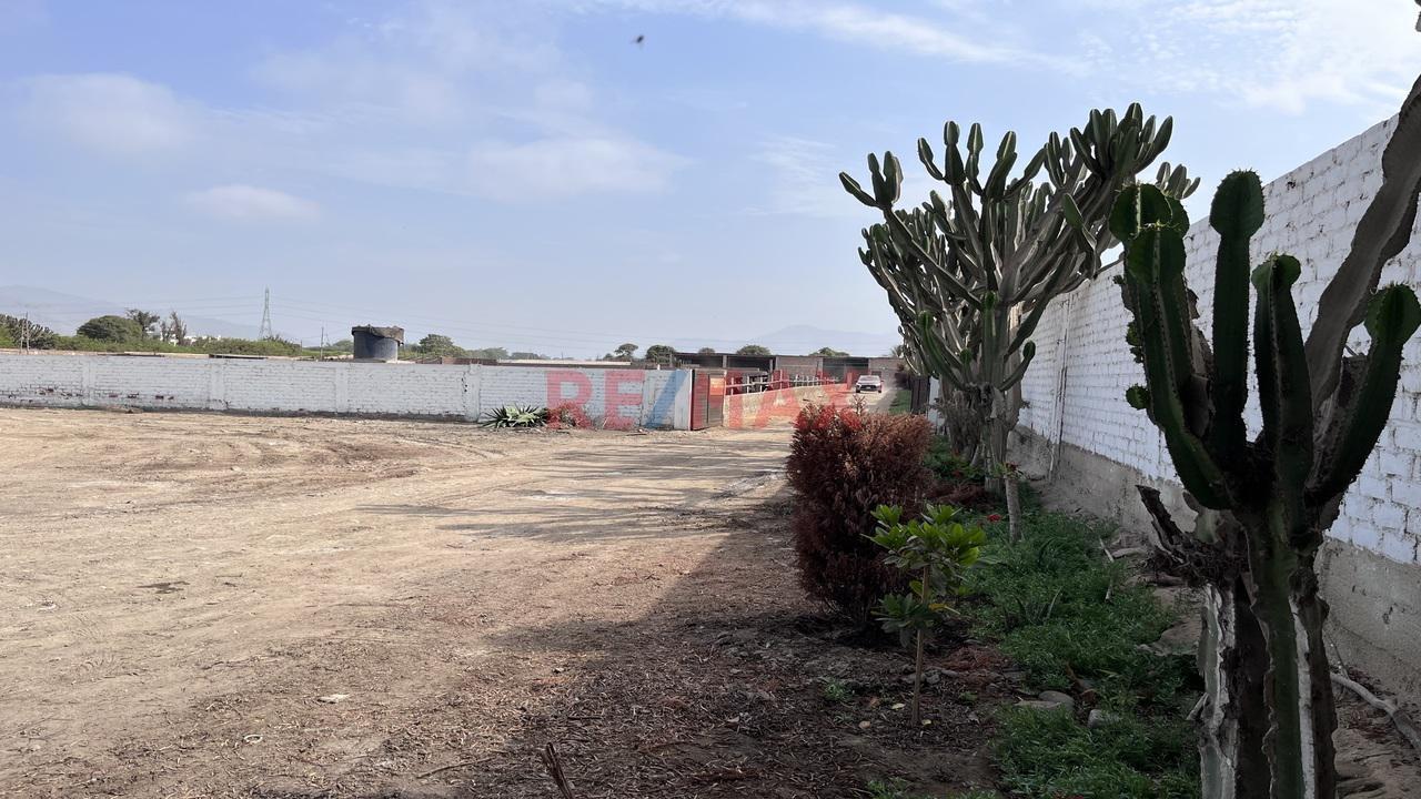 Terreno en Venta ubicado en Lurin Terreno en Venta ubicado en Lurin