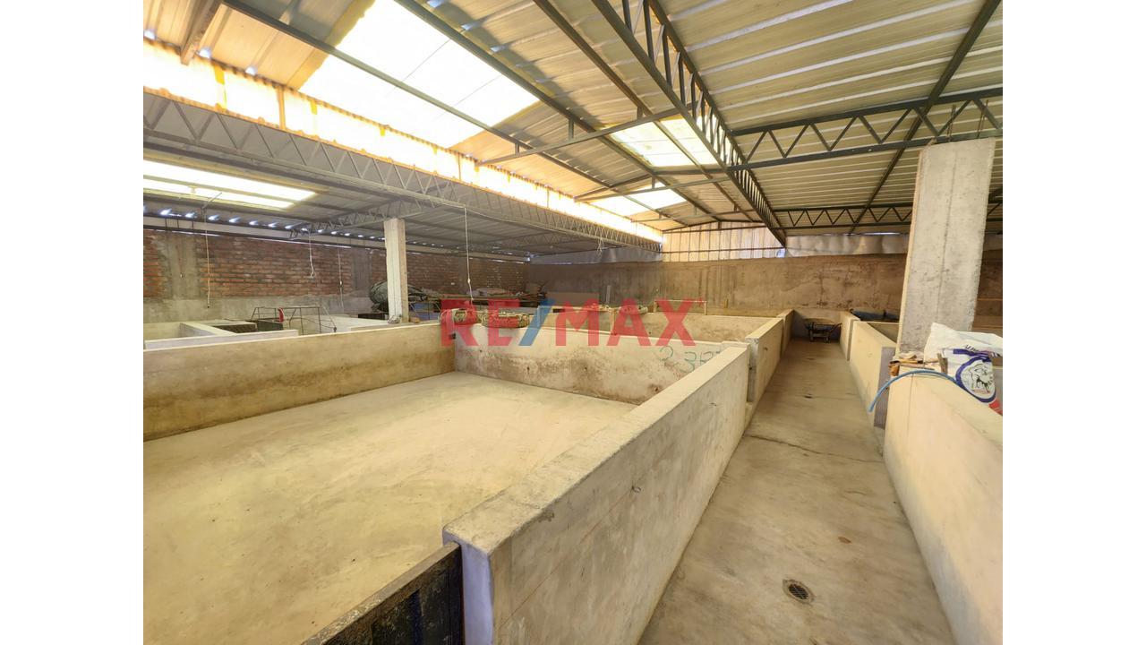 Casa en Venta ubicado en Chiguata Casa en Venta ubicado en Chiguata