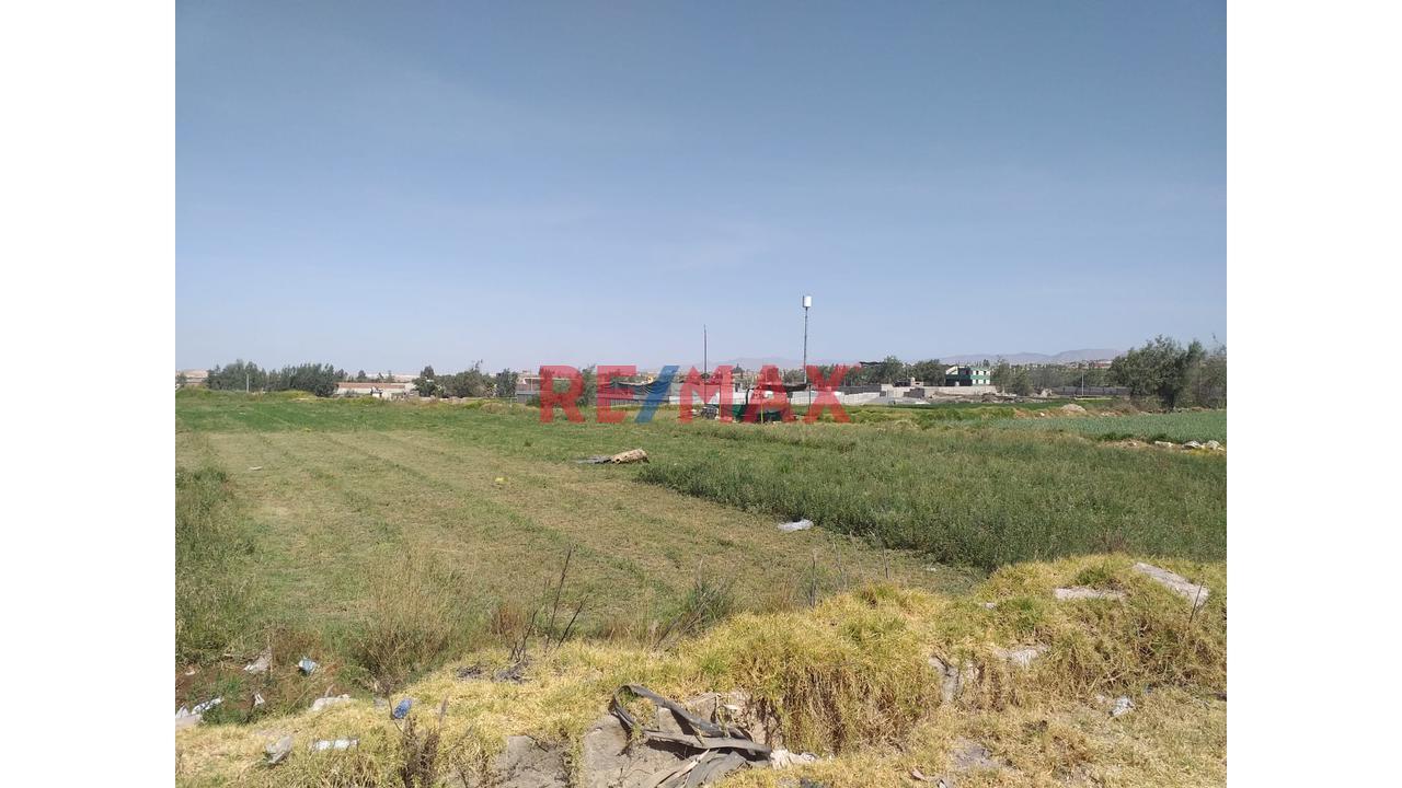 Terreno en Alquiler ubicado en Cerro Colorado