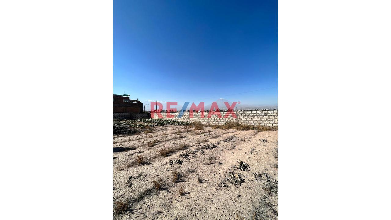 Terreno en Venta ubicado en Sachaca Terreno en Venta ubicado en Sachaca