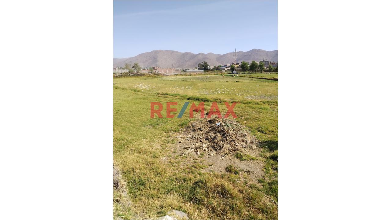Terreno en Venta ubicado en Socabaya Terreno en Venta ubicado en Socabaya