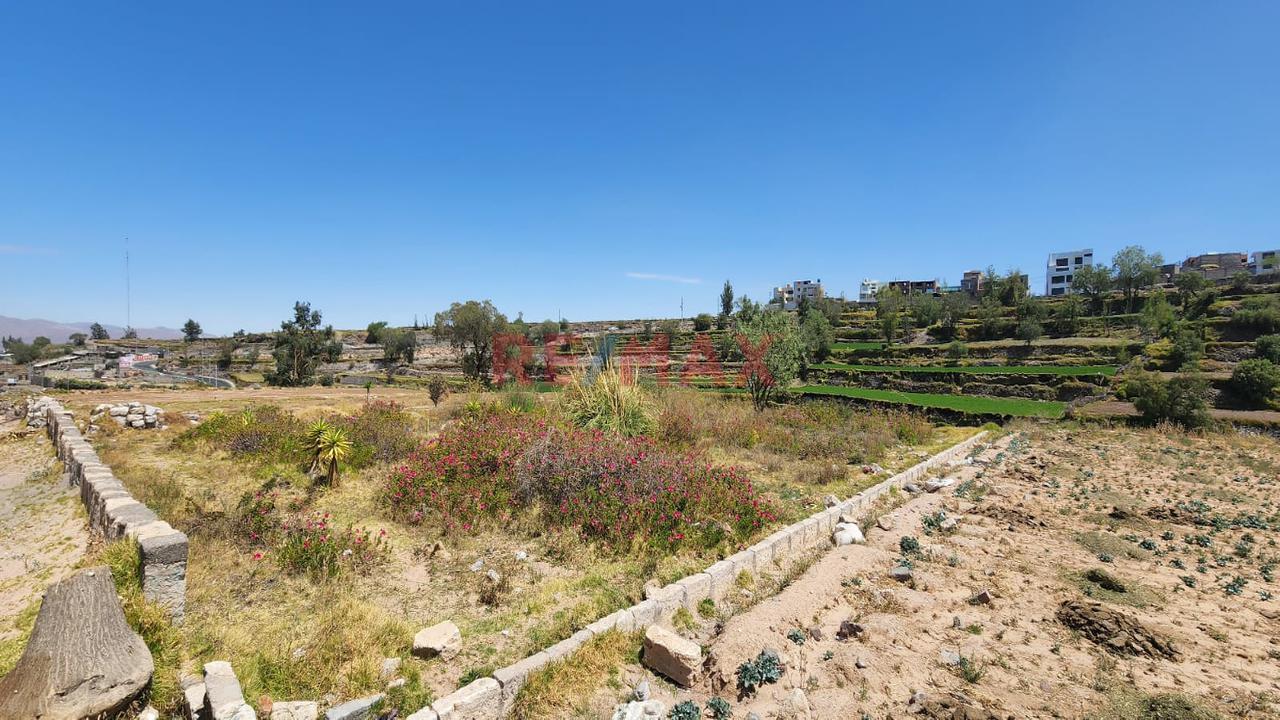 Terreno en Venta ubicado en Cayma Terreno en Venta ubicado en Cayma