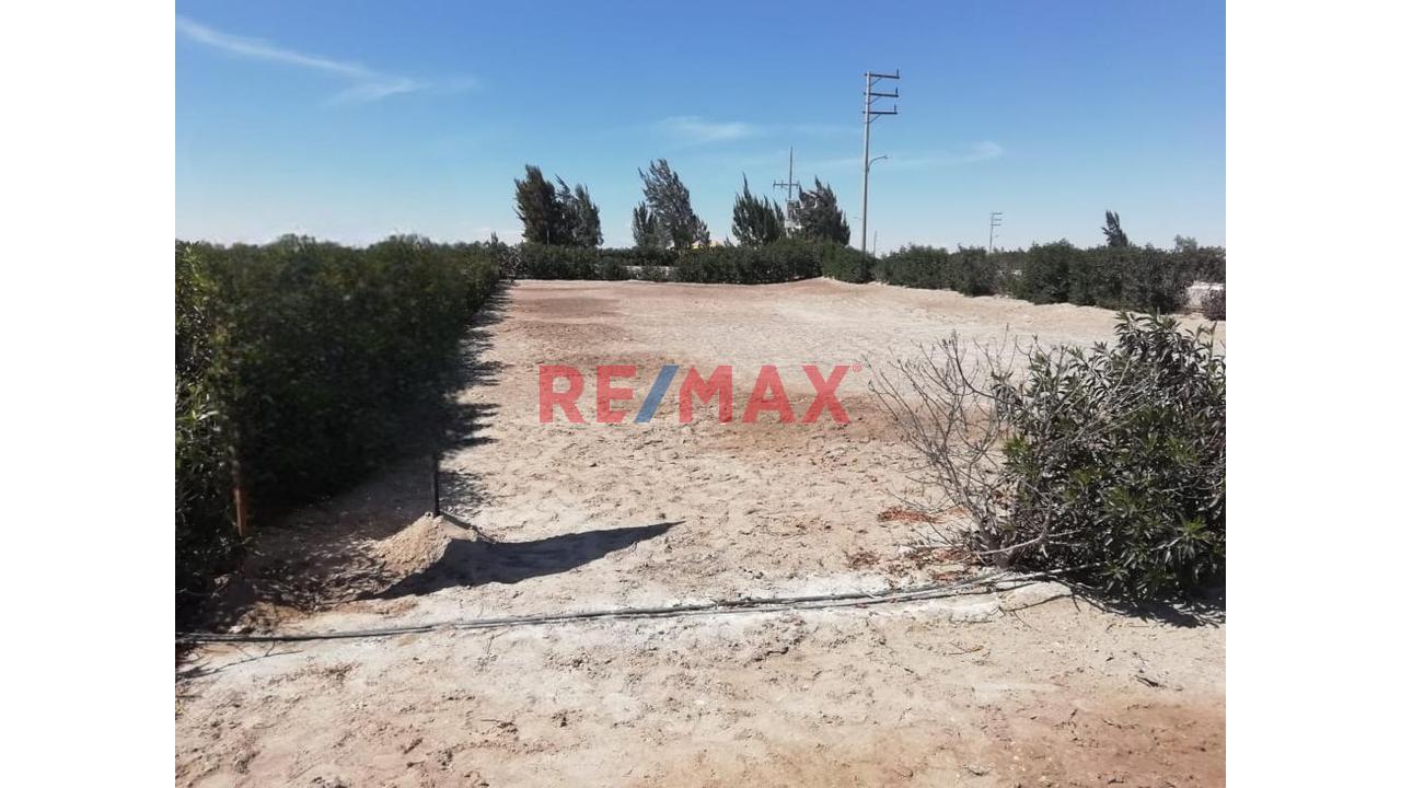 Terreno en Venta ubicado en Vitor Terreno en Venta ubicado en Vitor