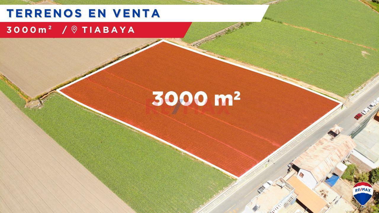 Terreno Agrícola en Venta ubicado en Tiabaya Terreno Agrícola en Venta ubicado en Tiabaya