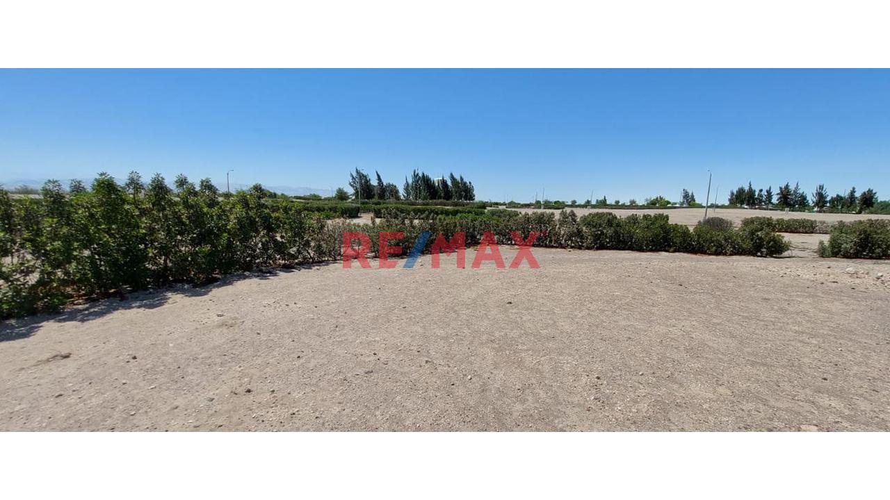 Terreno en Venta ubicado en La Joya