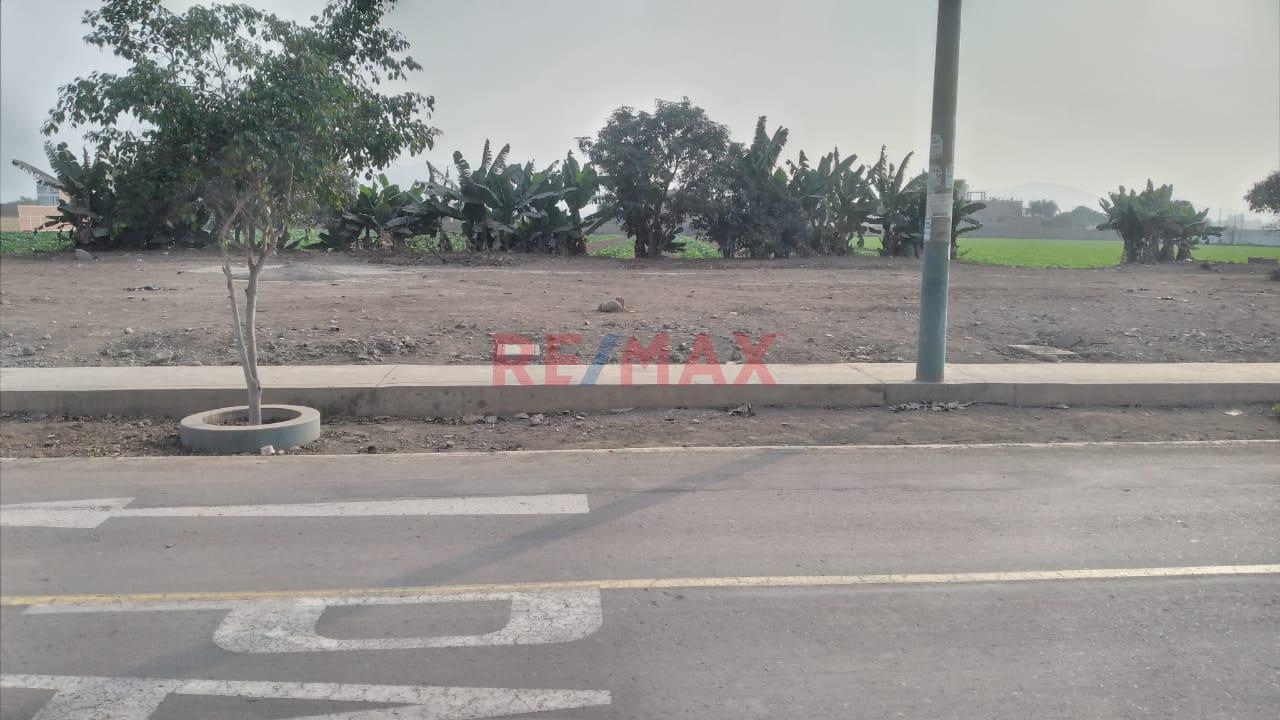 Amplio Terreno ubicado en Carabayllo Amplio Terreno ubicado en Carabayllo
