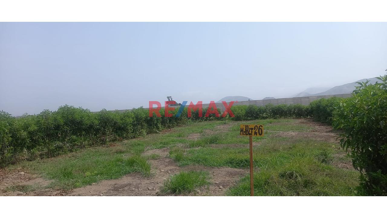 Terreno en Venta ubicado en San Juan De Dios Terreno en Venta ubicado en San Juan De Dios