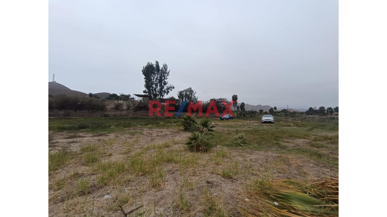 Terreno en Venta ubicado en Mala Terreno en Venta ubicado en Mala