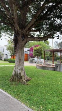 Casa en Venta ubicado en La Molina a $760,000