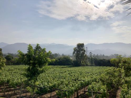 Terreno de ocasión ubicado en Asia