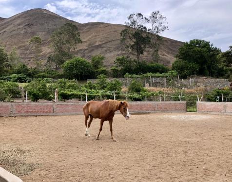 Extraordinario Terreno ubicado en Asia