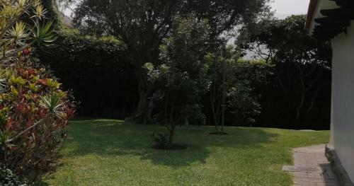 Casa barato en Venta en Chaclacayo