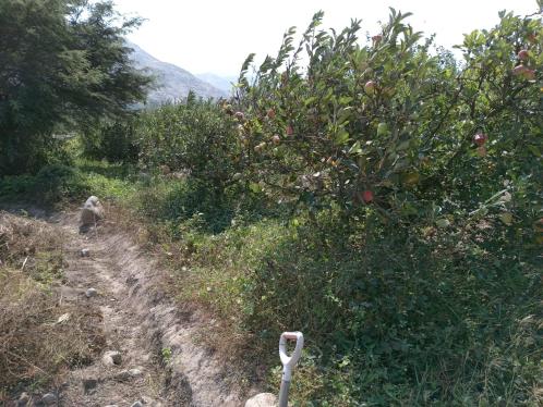 Terreno Agrícola en Venta ubicado en San Miguel De Acos a $1,000,000