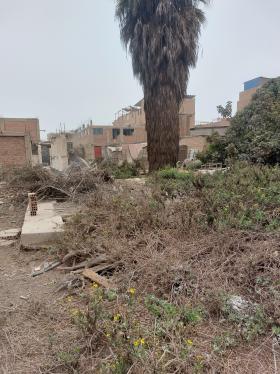 Terreno en Venta con excelente ubicación.