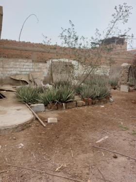 Oportunidad única Terreno ubicado en Puente Piedra