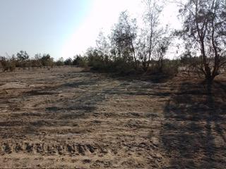 Terreno en Venta ubicado en San Clemente Terreno en Venta ubicado en San Clemente