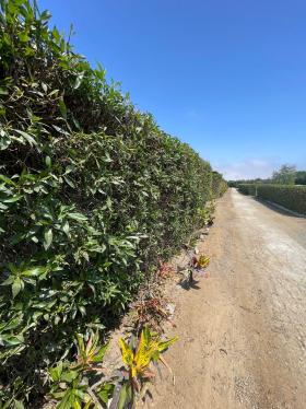 Amplio Terreno ubicado en Asia