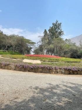 Terreno ubicado en Cieneguilla al mejor precio