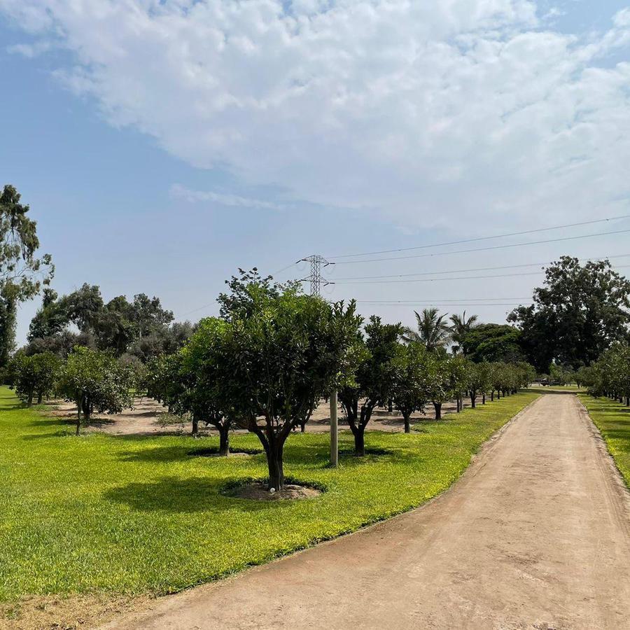 Terreno en Venta ubicado en Pachacamac a $3,300,000