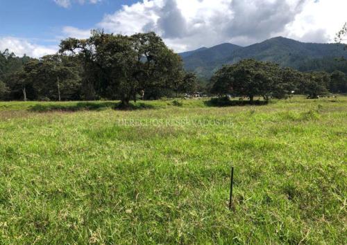 Amplio Terreno ubicado en Oxapampa