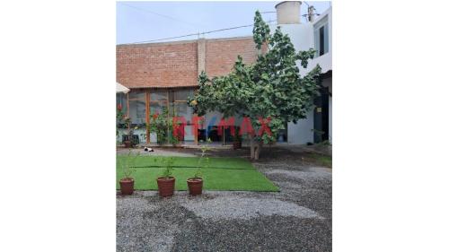 Lindo Local comercial en Venta en Villa El Salvador