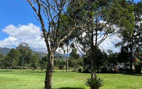 Espectacular Terreno ubicado en Chontabamba