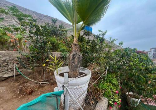 Casa bien ubicado.