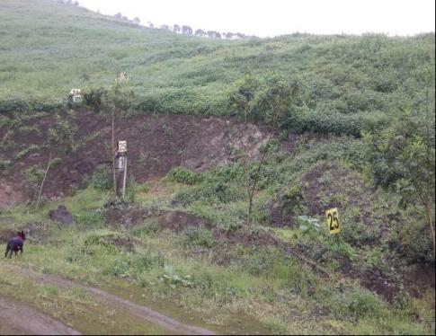 Amplio Terreno ubicado en Pachacamac