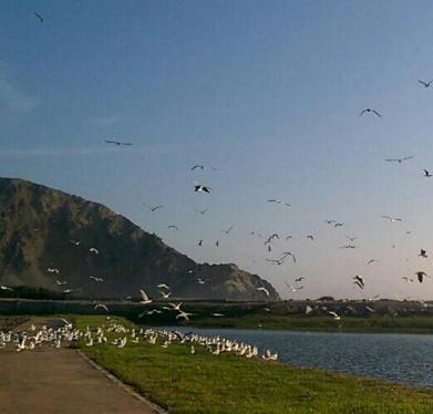 Espectacular Terreno ubicado en San Antonio