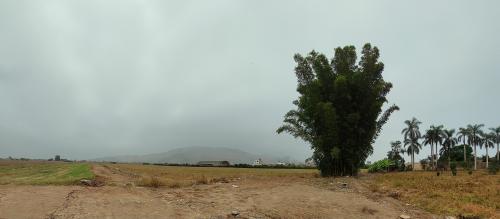 Espectacular Terreno ubicado en Chancay