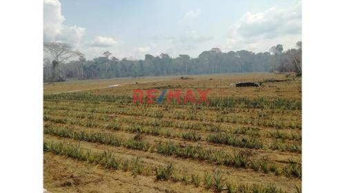 Terreno de ocasión ubicado en Las Piedras