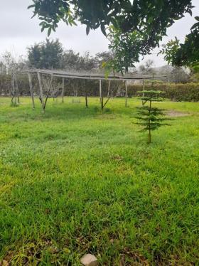 Terreno en Venta ubicado en Santa Cruz De Flores a $160,000