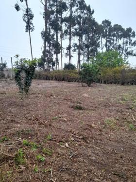 Terreno en Venta ubicado en Santa Cruz De Flores