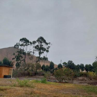 Terreno de ocasión ubicado en Santa Cruz De Flores