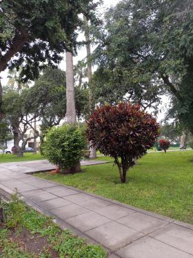 Casa en Santiago De Surco