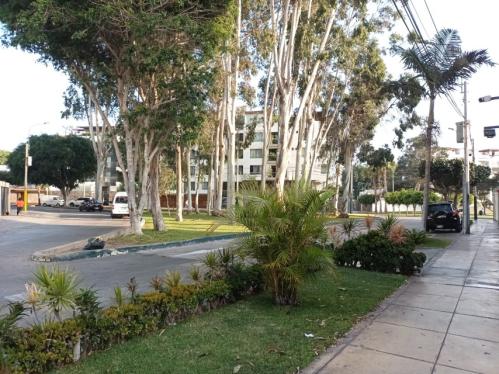 Terreno en Venta ubicado en Santiago De Surco a $950,000