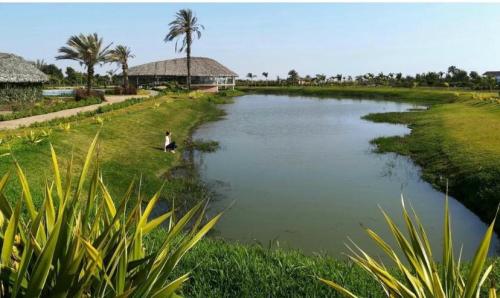 Terreno en Venta ubicado en Chincha Baja a $64,000