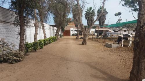 Terreno de ocasión ubicado en Lurin